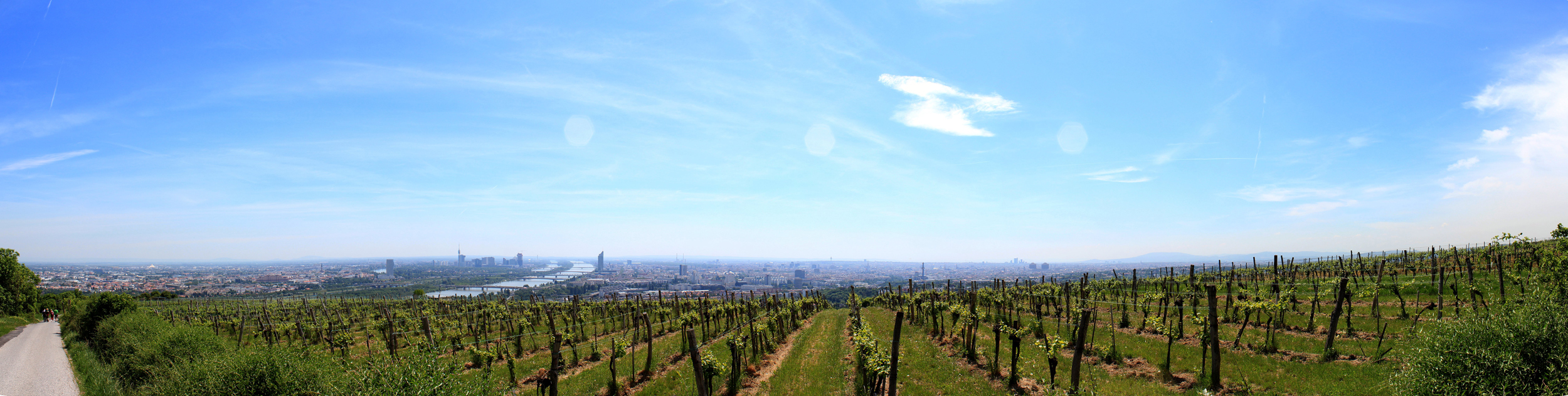 Panoramablick vom Nußberg beim Kahlenberg auf Wien und die umliegende Landschaft